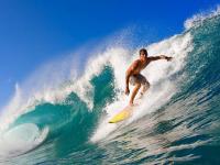 字母哥迎来十五赛季高光表现，公牛球迷沸腾！