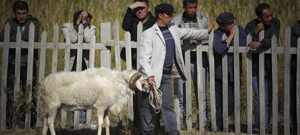 第戎客场战平兰斯，难分胜负的简单介绍