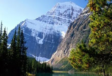 库里在澳大利亚队比赛中惊险取胜，战术调整引发热议！